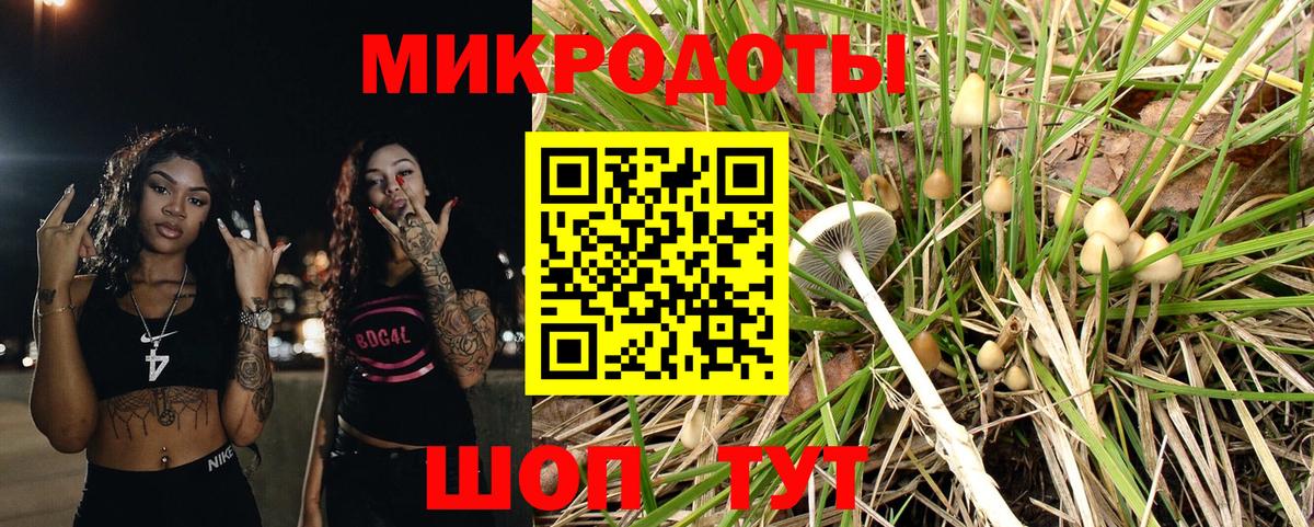Гагарин  Галлюциногенные грибы ЛСД  Галлюциногенные грибы Psilocybine cubensis  Вход с VPN 